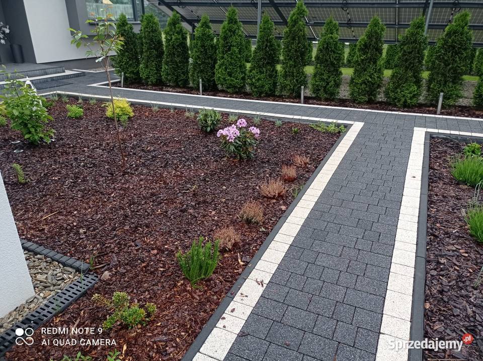 Kora ogrodowa sosnowa różne frakcje Katowice