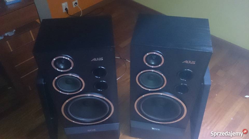 Kolumny Tonsil ALTUS 300 czarne gwarancja kujawsko-pomorskie Mrocza