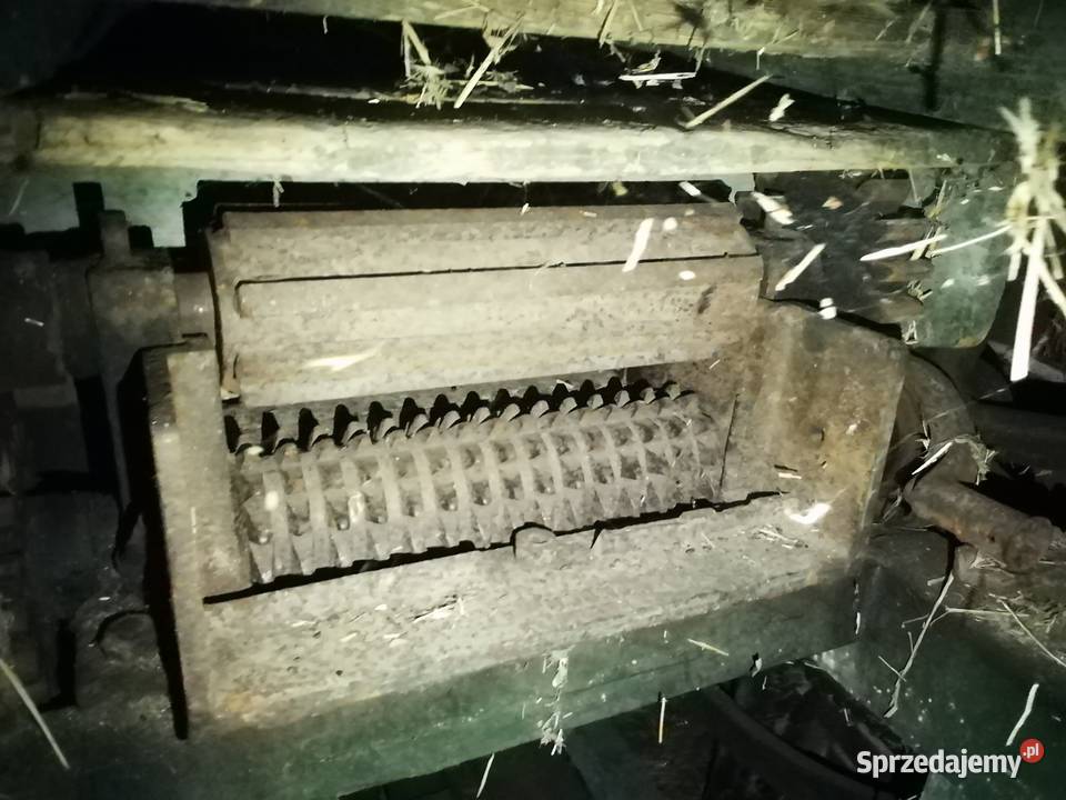 Sieczkarnia kukurydzy wielkopolskie Ostrzeszów