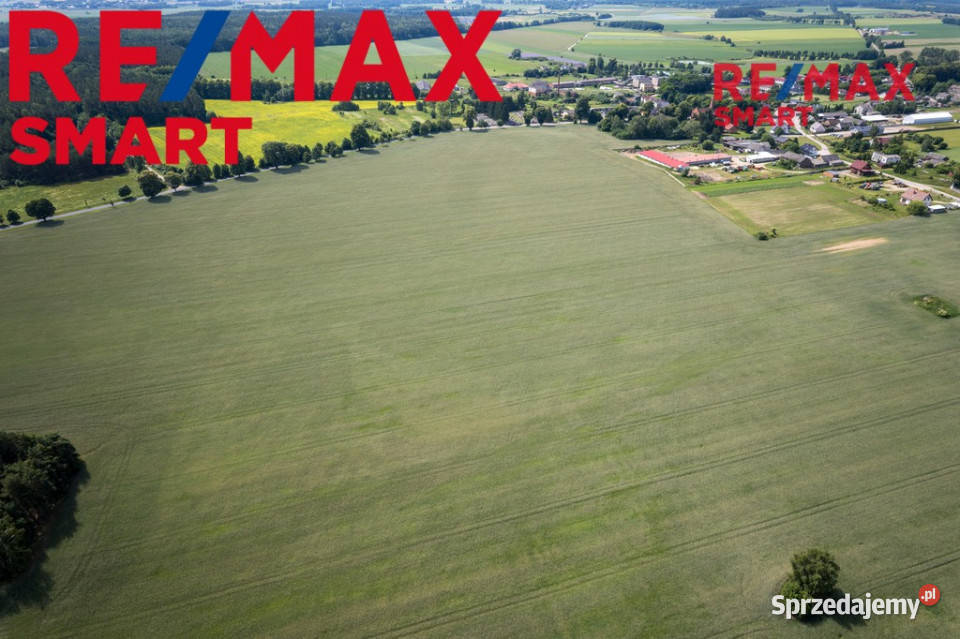 901 ha MPZP produkcja logistyka 1 S7 580m sprzedam