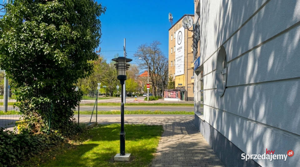 Lokal Poznań Grunwaldzka 42m 42m2