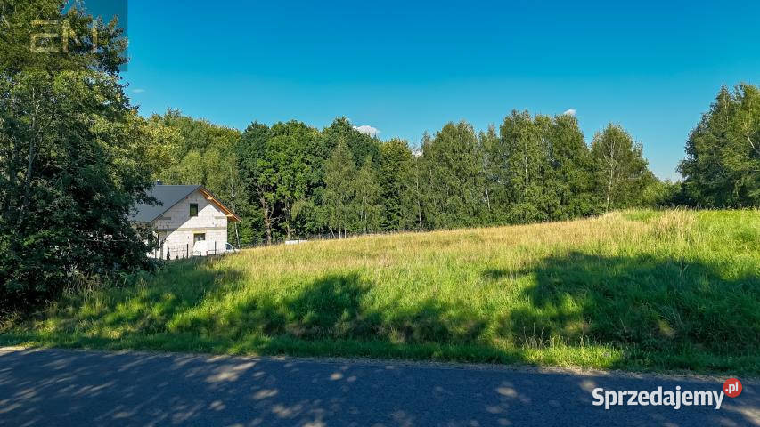 Do sprzedaży działka Straszydle 1900m2