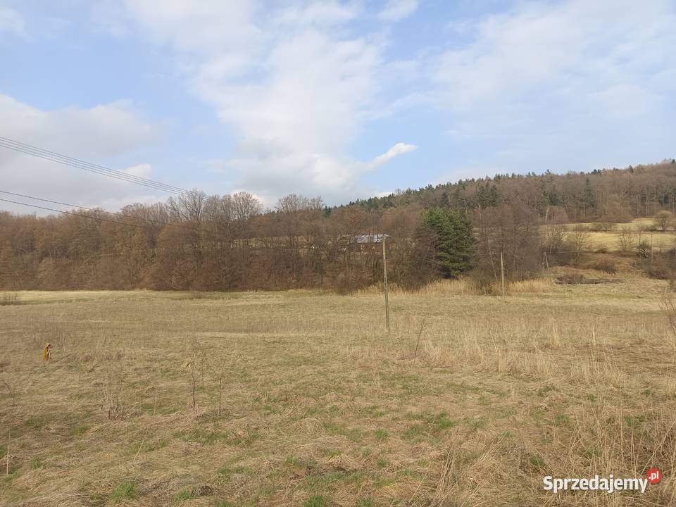 Sprzedam dom jednorodzinny do remontu Sprzedaż Lipinki