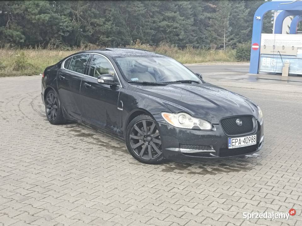 Jaguar xf Nasielsk