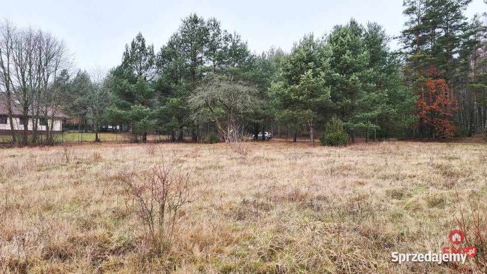 Grunt Pieńki 1743m2 sprzedam