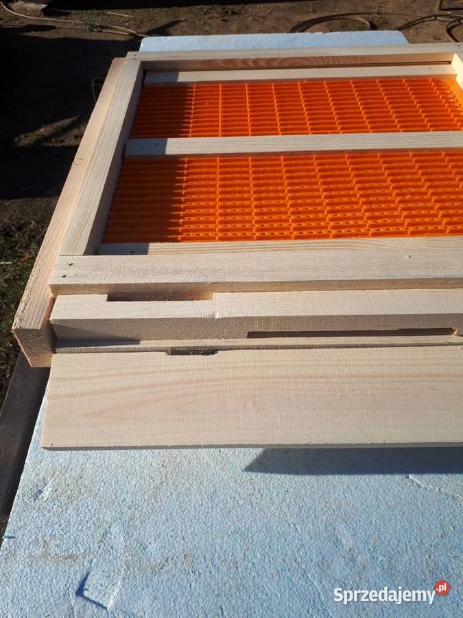 Ule wielkopolskie dennica z poławiaczem pyłku Tanina sprzedam