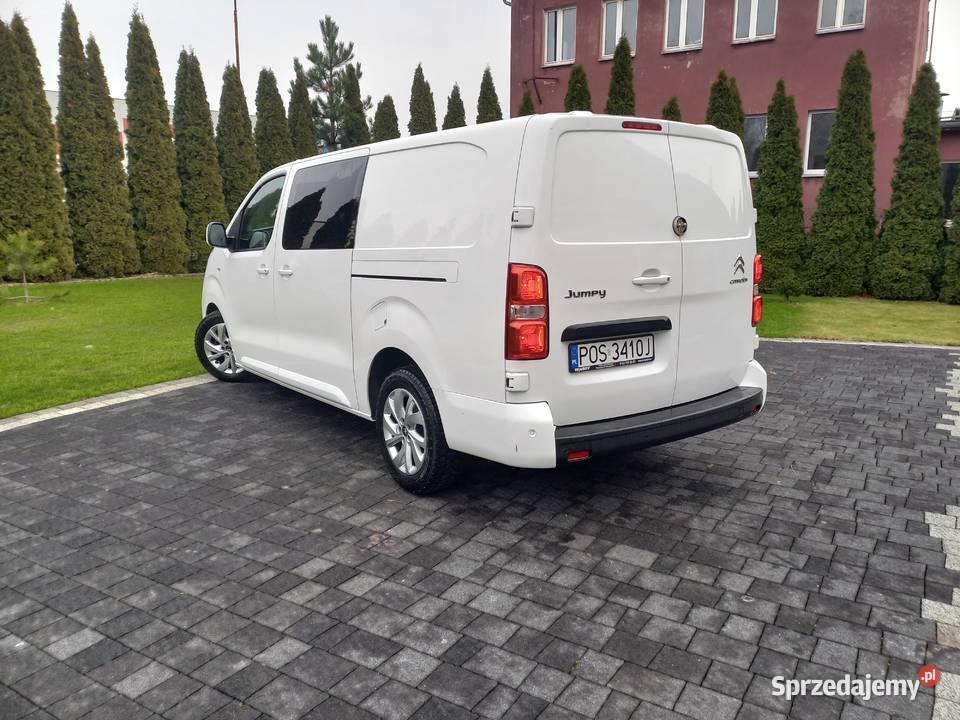 Citroen jumpy Odolanów