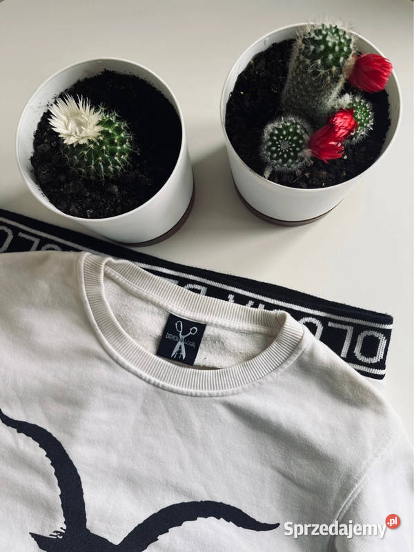 Bluza damska Demonologia Częstochowa