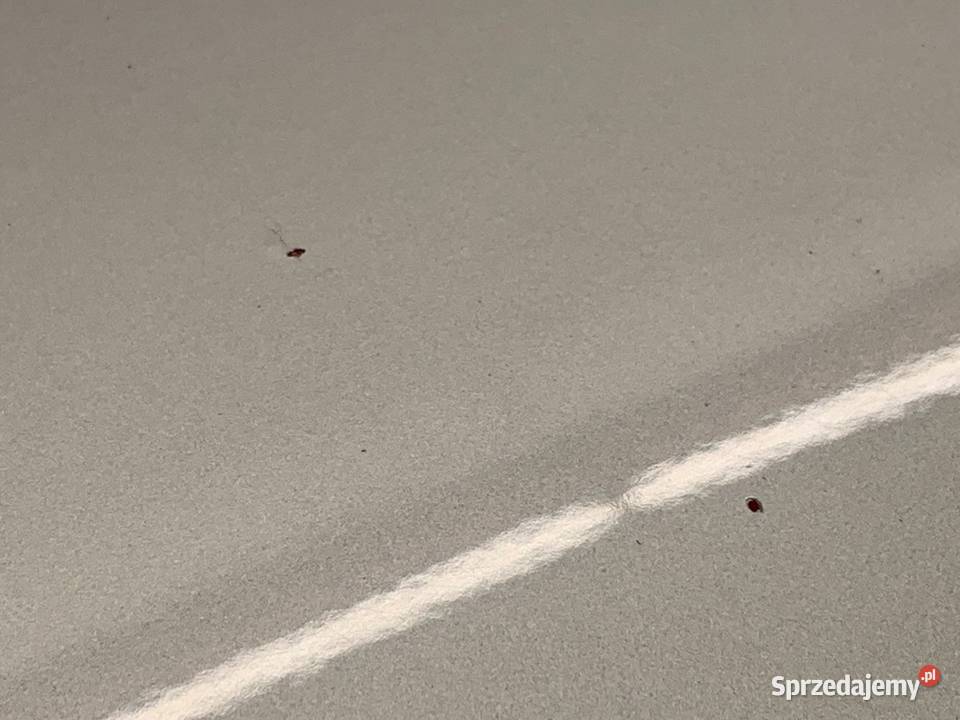 MASKA FIAT 500 Hatchback SREBRNY POKRYWA sprzedam