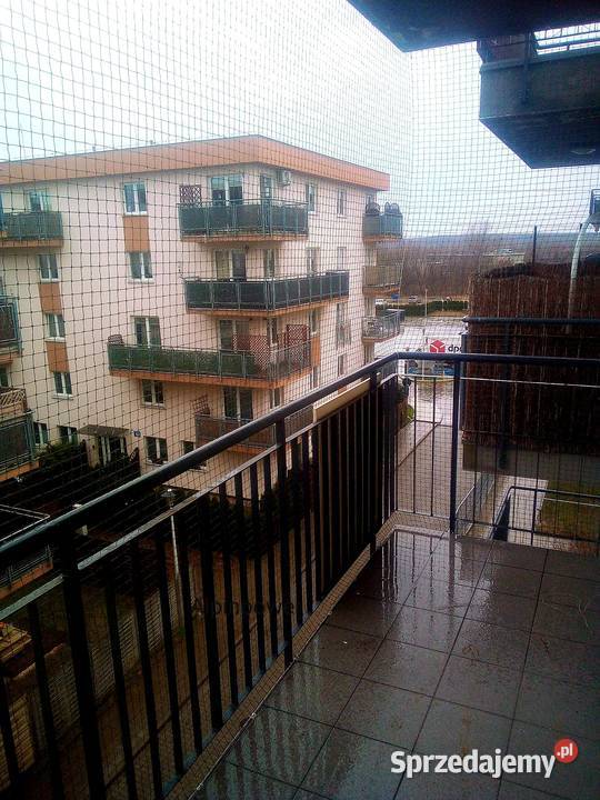 Siatki zabezpieczające kotów na balkon Warszawa usługi dla zwierząt