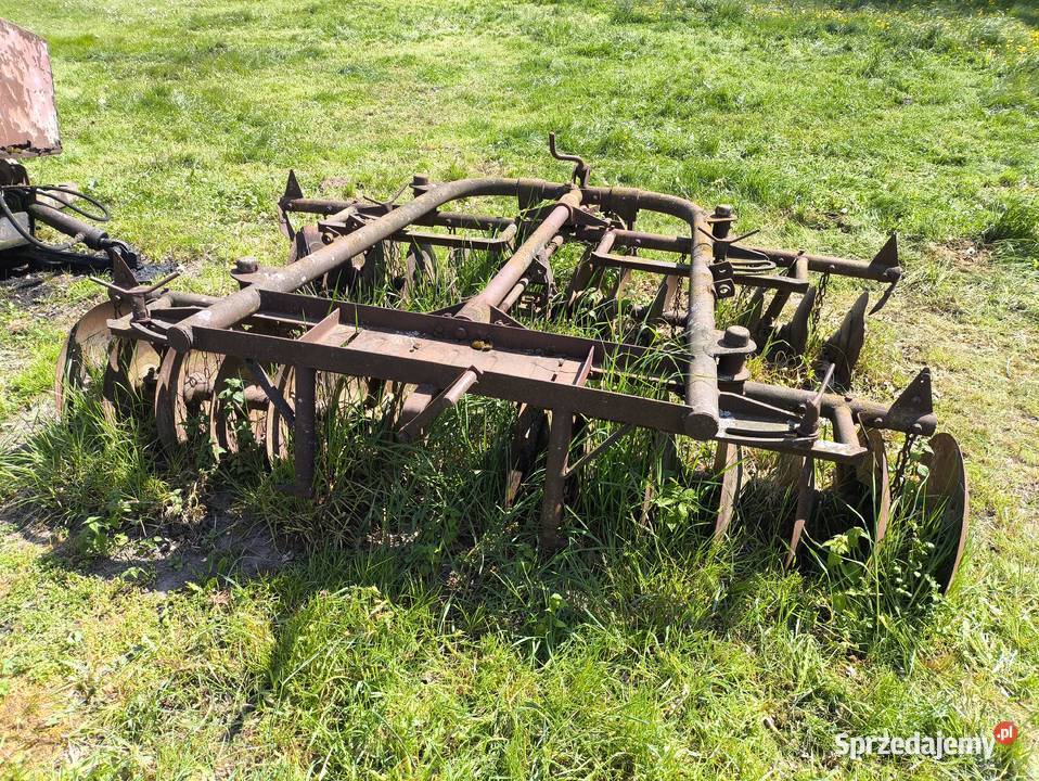 Talerzówka Pozostałe kujawsko-pomorskie Zawda