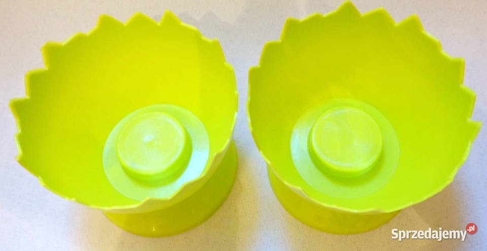 Gazony Skorupki Osłonki na stroiki 15 JAJKA śląskie