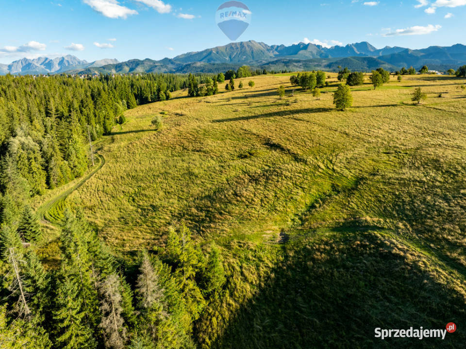 Działka rolno leśna Zakopane Sprzedaż sprzedam