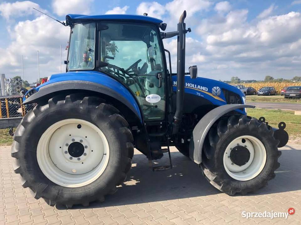 holland lubuskie Sulechów