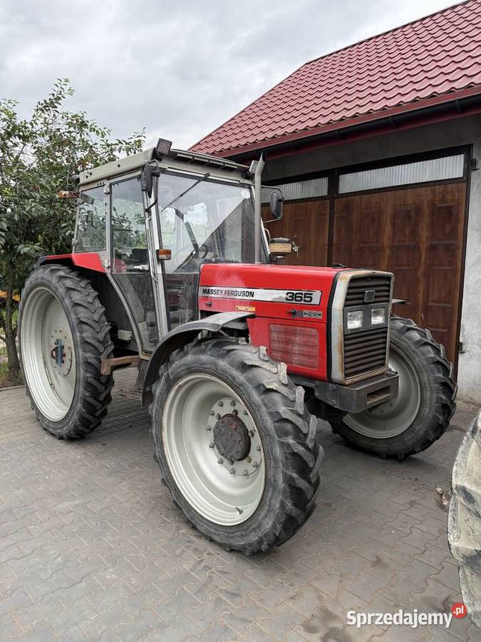 MF 3070 4x4 Ferguson 365 Świeżo sprowadzony Burzenin