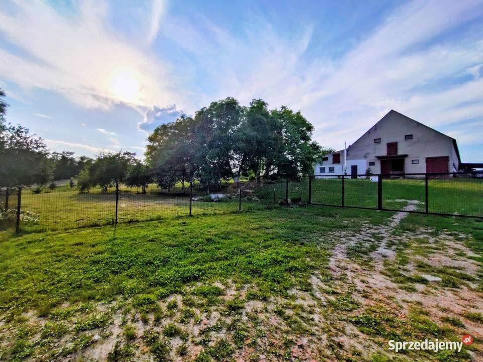 Gospodarstwo Rolne w urokliwym miejscu 13ha Jarnatów