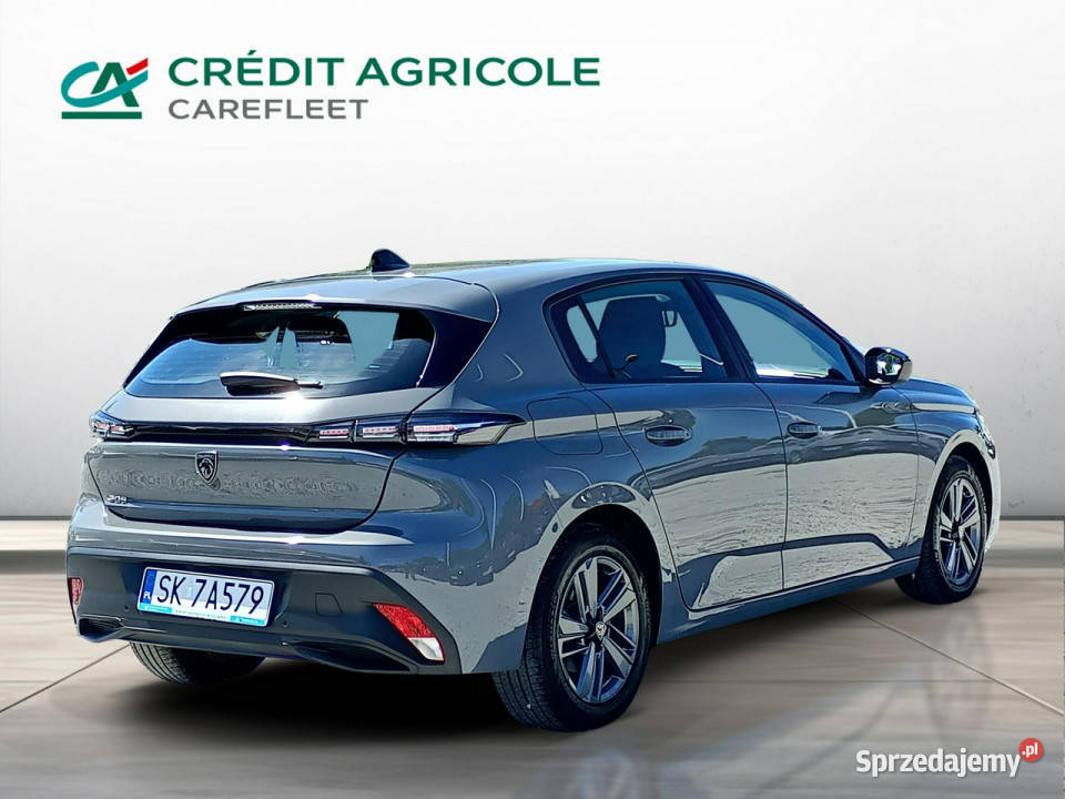 Peugeot 308 15 BlueHDi 130 Active Pack EAT8 asystent pasa ruchu wielkopolskie Poznań