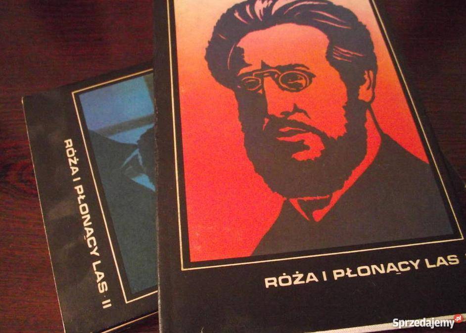 Tadeusz Hołuj Róża i płonący las tom 1 2 sprzedam