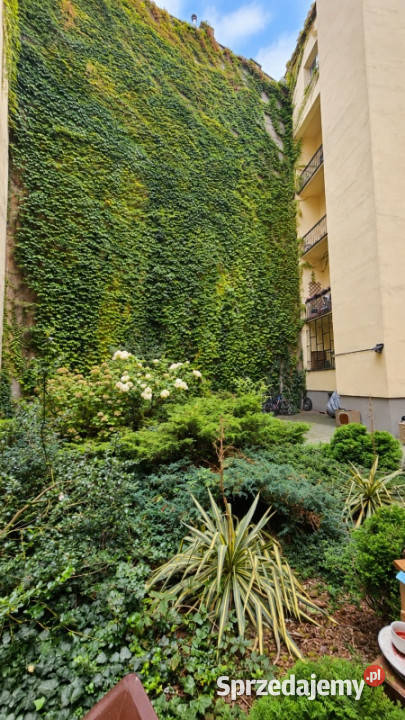 3 pokoje 611 m balkon winda Kraków Stare Miasto małopolskie