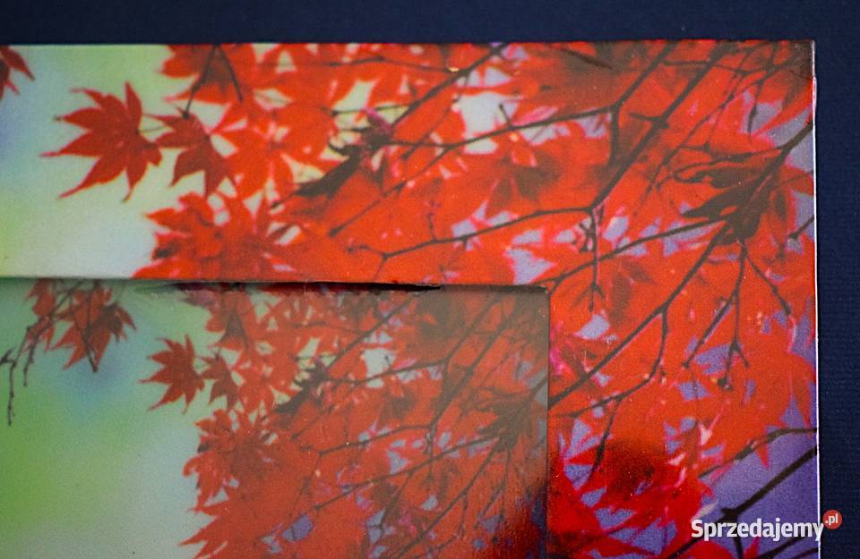 Ramka na zdjęcie z motywem jesieni Dom i Ogród Chełmno