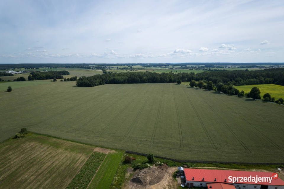 901 ha MPZP produkcja logistyka 1 S7 70zł/m2 Białuty sprzedam
