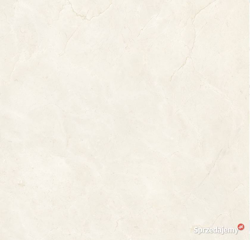 Płytka Pamesa Crema Marfil 120x120 Satyna GAT I łódzkie Opoczno