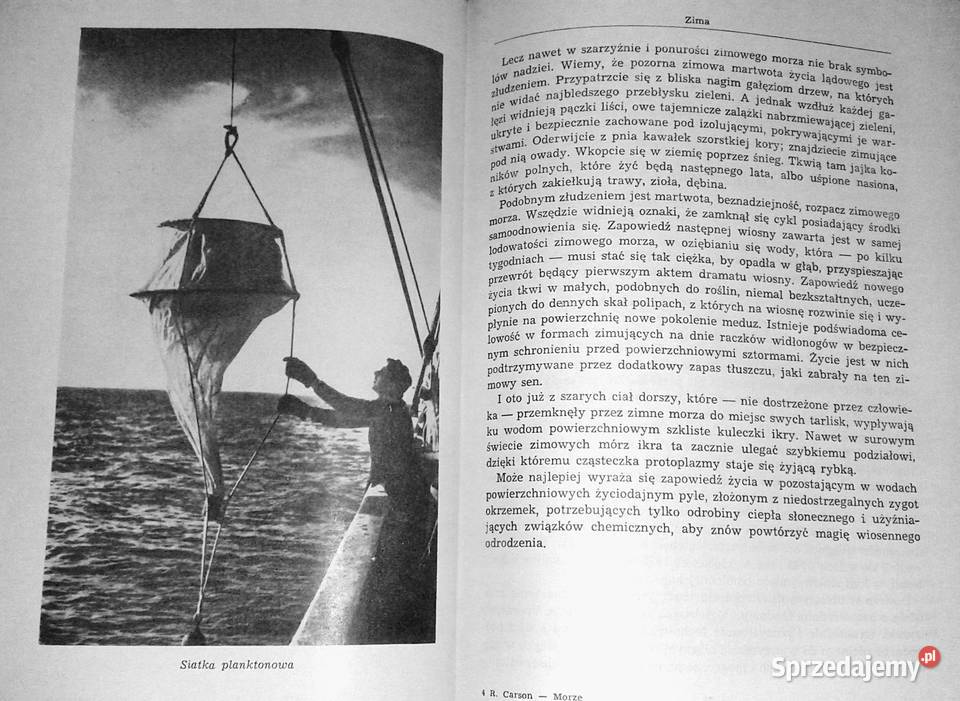 Morze wokół nas Rachel Carson Chełm