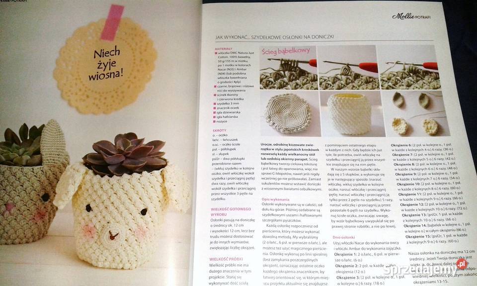 Mollie potrafi 2 14 2016 Chełm sprzedam