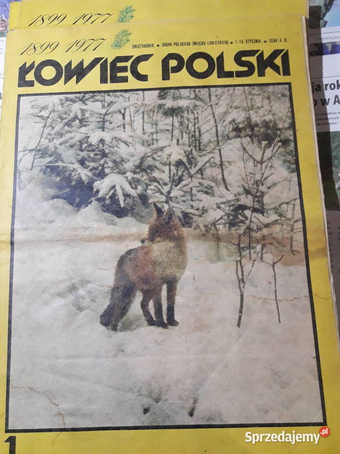 Łowiec Polski 1 do 24 1977 STARA KOLEKCJA PRL Zwierzęta i przyroda