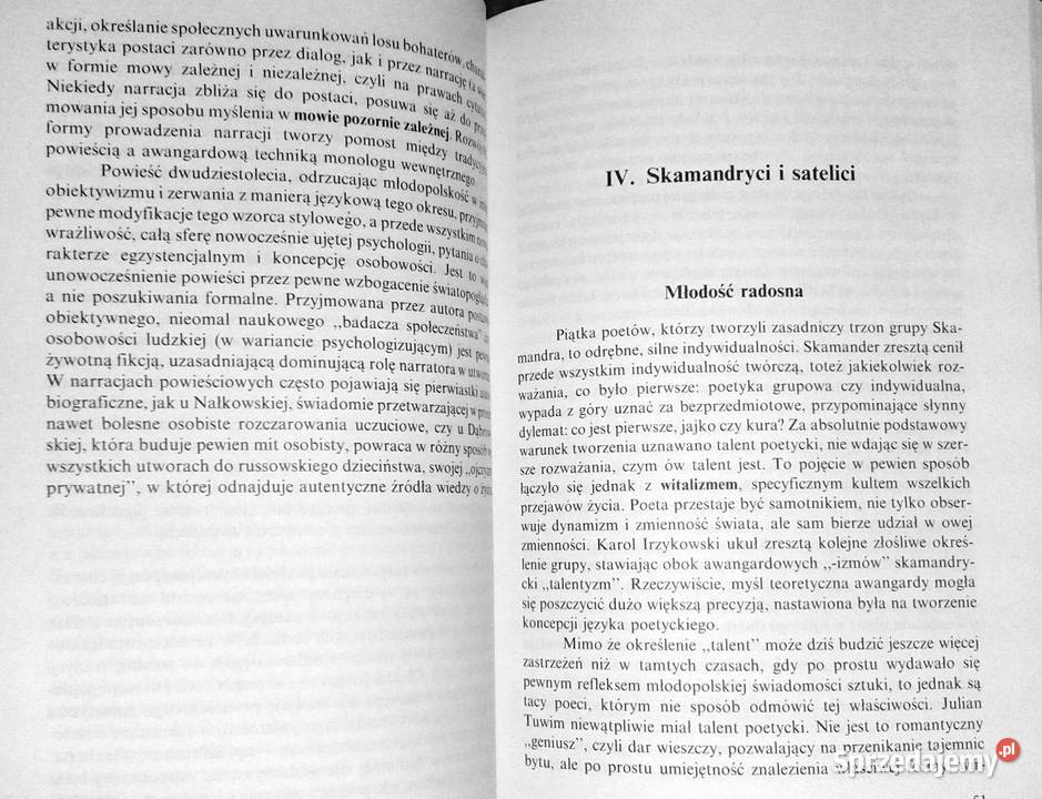 Trzydziestolecie 19141944 Anna Nasiłowska Chełm