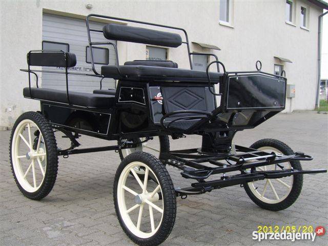bryczka konna powóz konny wagonetta producent do Leszno