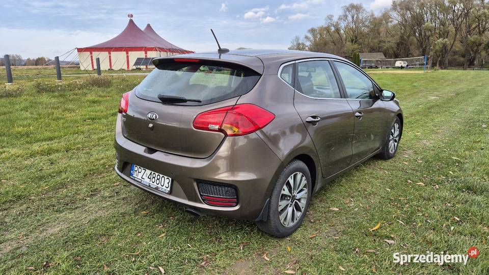 Kia Ceed 16 benzyna bezwypadkowy salon polska elektryczne lusterka Jawornik Polski sprzedam
