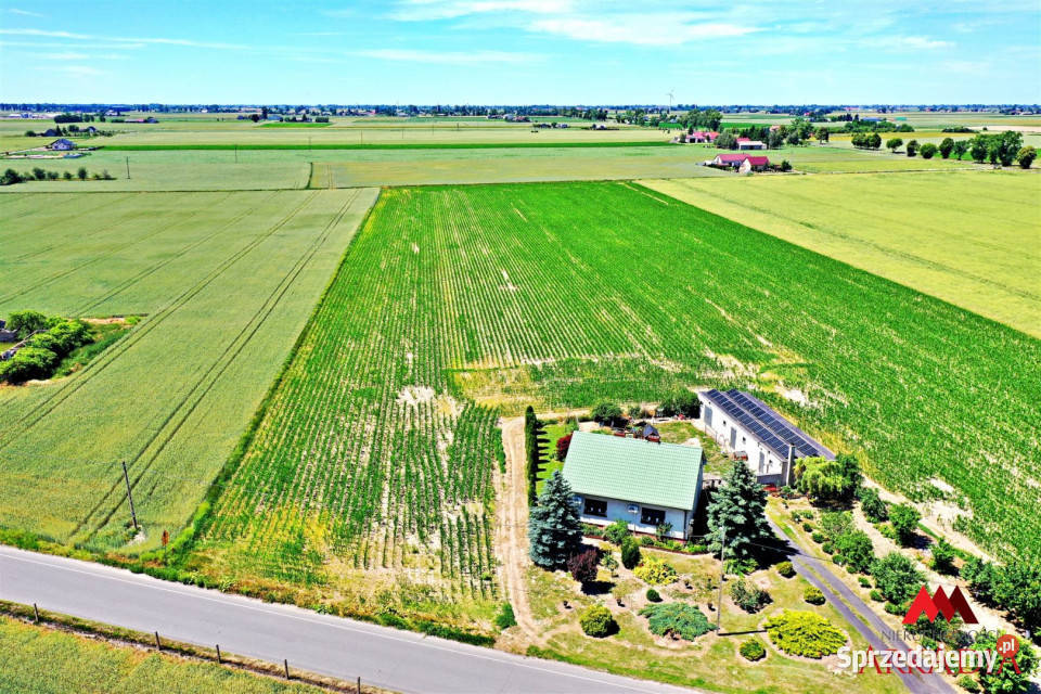 Działka Brzezie 6121m2 6121m2