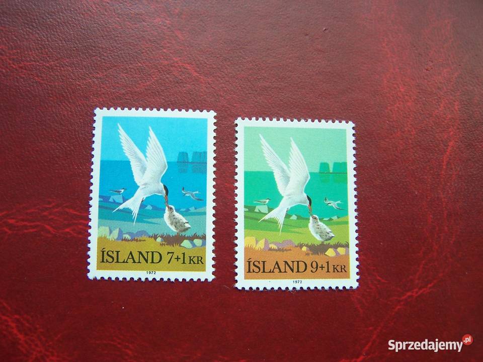 Islandia 1972 MNH Mi 46970 Fauna Ptaki Tychy