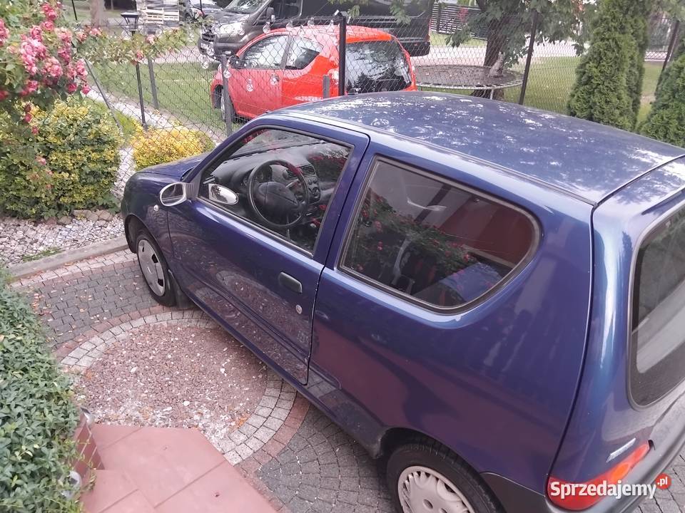 Ładne seicento Siepraw