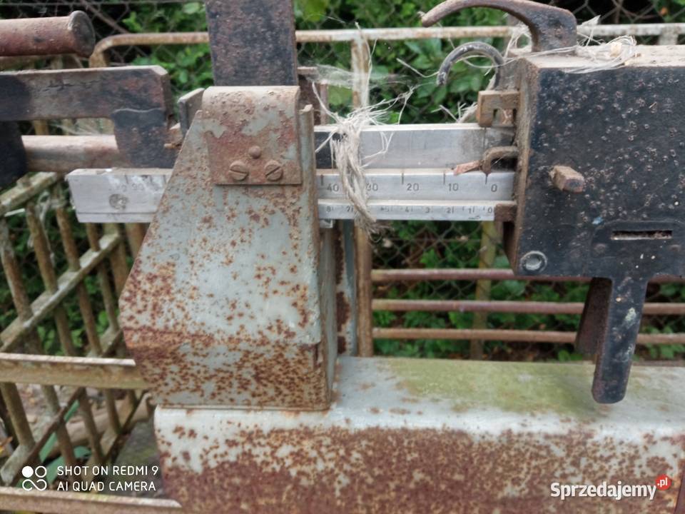 Waga duża inwentarzowa Babin