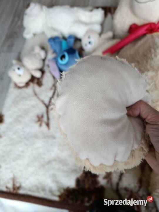 miś pluszak w odcieniach żółtego 90 wielkopolskie Poznań