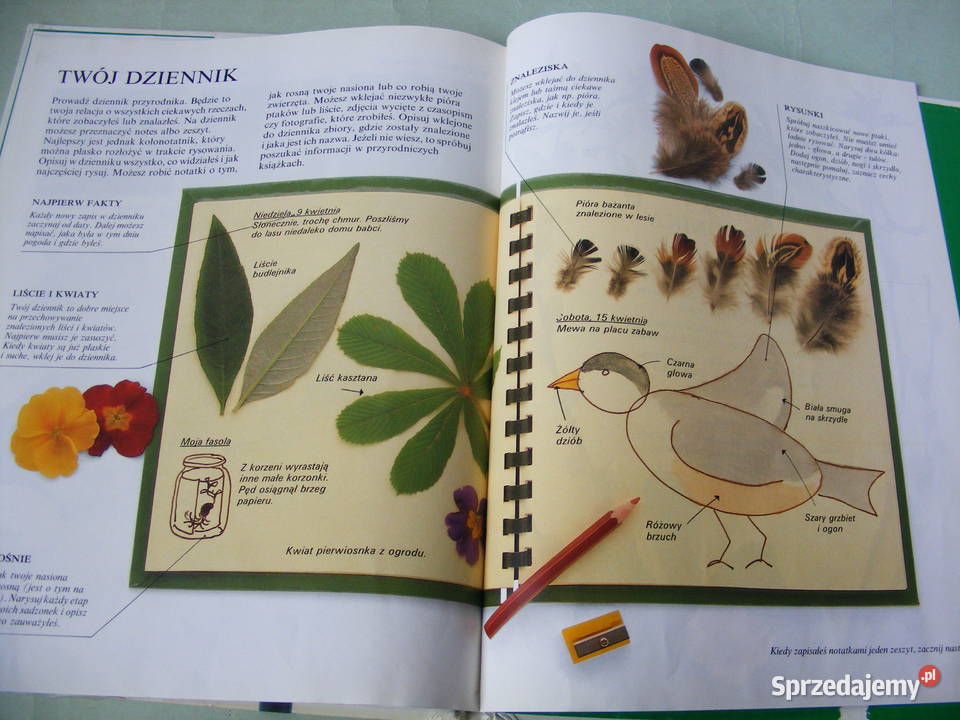 Moja pierwsza książka Przyroda Atlas świata