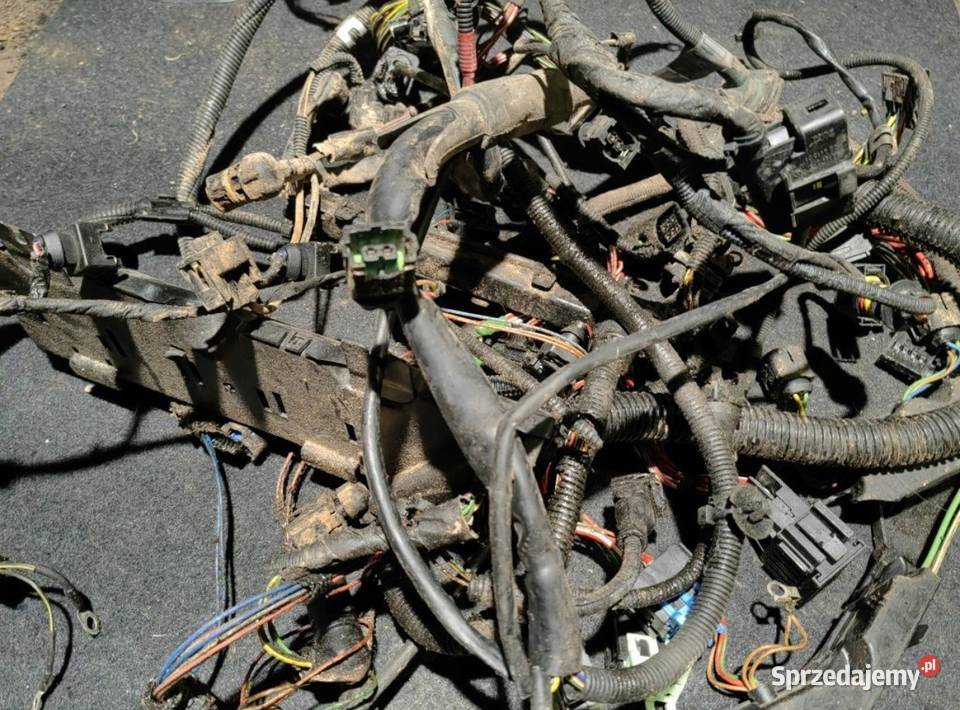 Wiązka elektryczna silnika BMW E46 n42