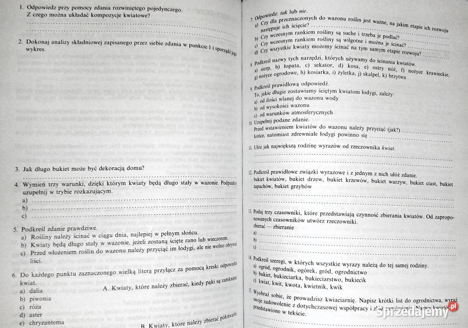 Test Diagnostyczny Z Jezyka Polskiego Klasa 7 Nowa Era Testy kompetencji z języka polskiego dla kandydatów do LO Chełm