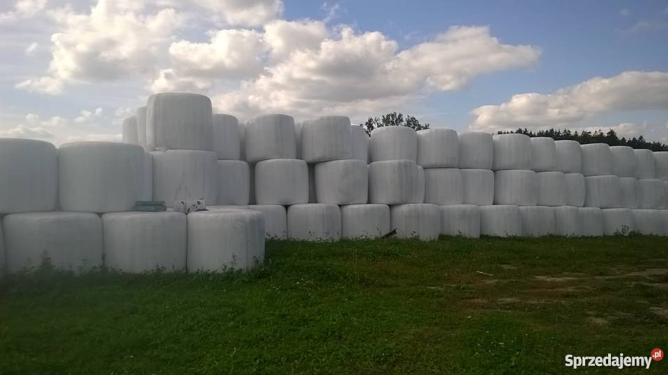 Baloty sianokiszonka warmińsko-mazurskie Sętal sprzedam