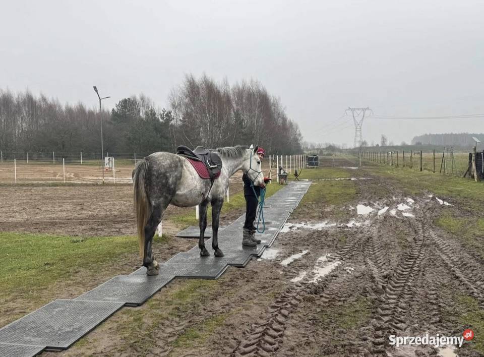Maty stajenne do boksów i na padoki 120x80 Racibórz