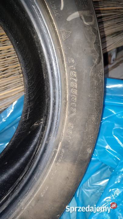 Goodride 21555 R17 98V ZIMOWE