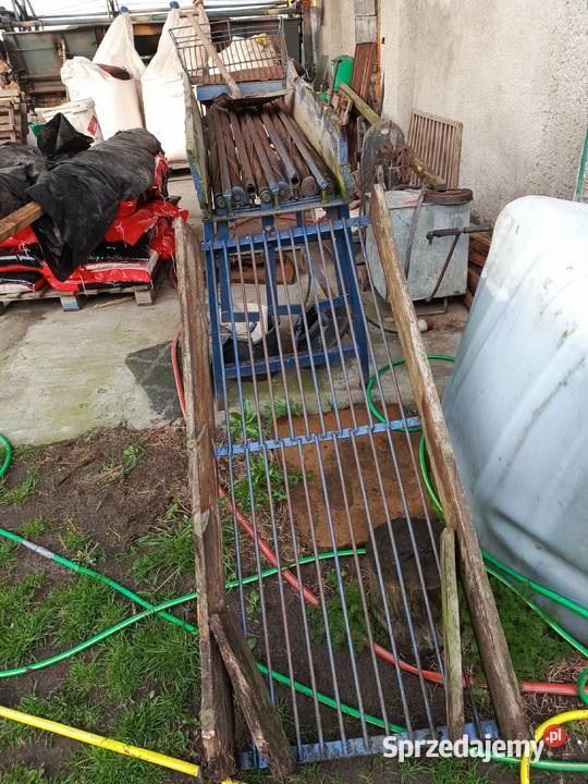 Maszyna do cebuli kujawsko-pomorskie Gruta