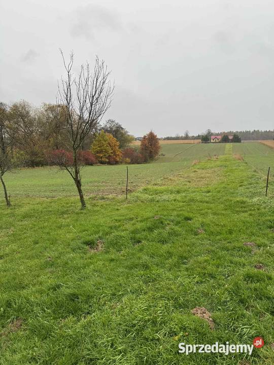 Działka 35 arów Krasieniec Stary prąd i woda małopolskie