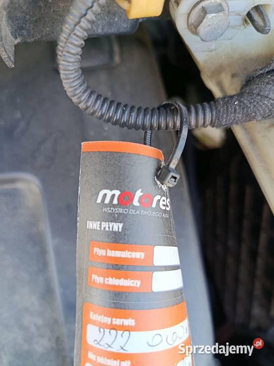 Renault Grand Scenic Gr 14 TCE benzyna 7osób