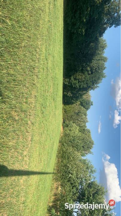 Sprzedam działki budowlane w miejscowości 35000m2 Reducin
