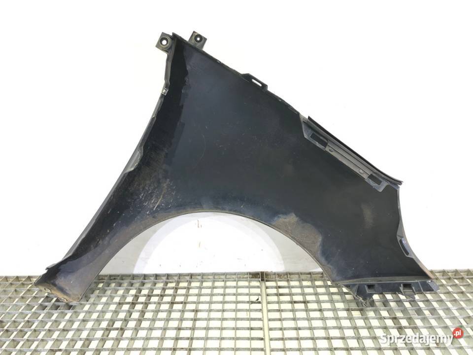 BŁOTNIK LEWY PRZÓD RENAULT SCENIC III Minivan podkarpackie
