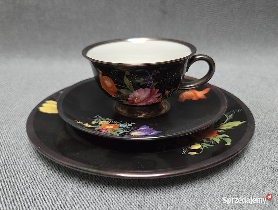 Serwis do mokki Rosenthal Aida 9268 zachodniopomorskie Szczecin sprzedam