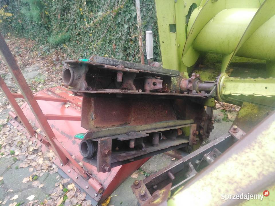 Przystawka do kukurydzy Samojezdne Strzelno